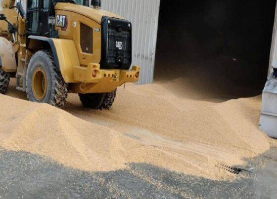 Bolu'da yem deposunda tonlarca mısırın altında kalan işçi öldü