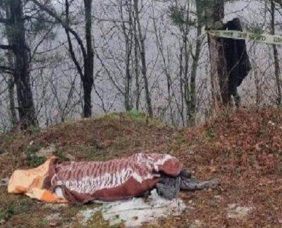 Bursa'da kestiği ağacın altında kalan işçi hayatını kaybetti!