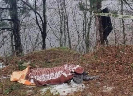 Bursa'da kestiği ağacın altında kalan işçi hayatını kaybetti!