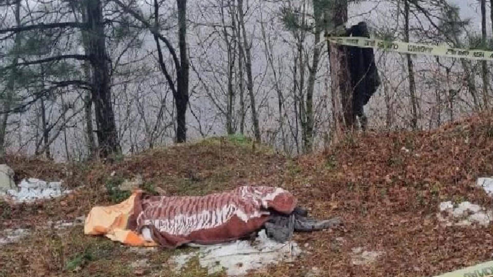 Bursa'da kestiği ağacın altında kalan işçi hayatını kaybetti!