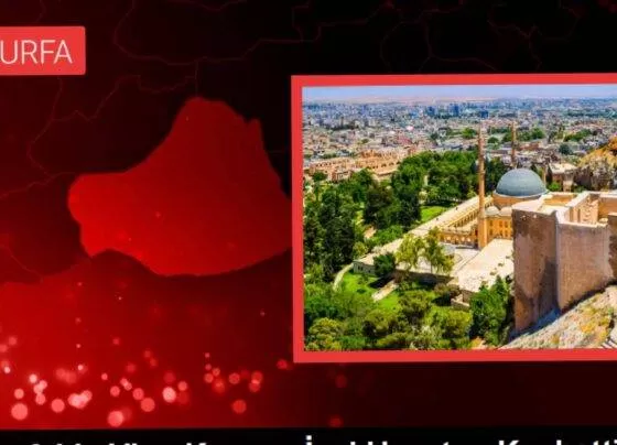 Şanlıurfa'da vinç kazasında 18 yaşındaki işçi hayatını kaybetti