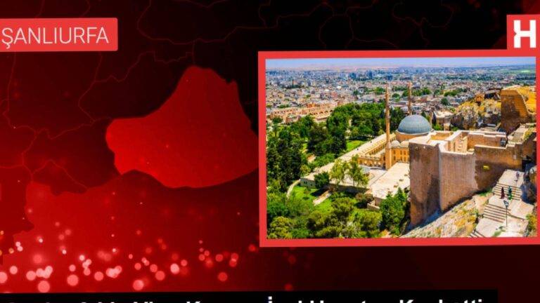 Şanlıurfa'da vinç kazasında 18 yaşındaki işçi hayatını kaybetti