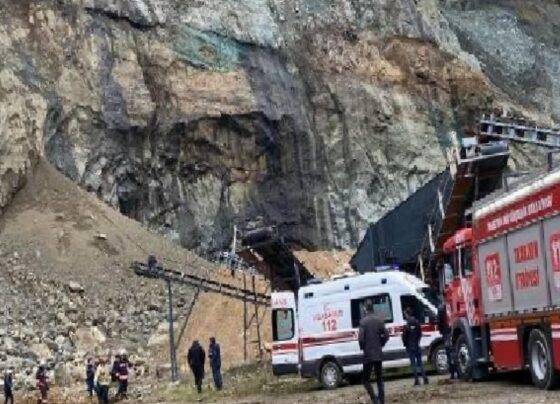 Trabzon'da taş ocağında çalışan 46 yaşındaki işçi yaşamını kaybetti