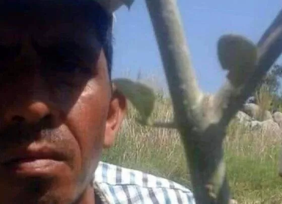 Osmaniye'de yol yapımında çalışırken araç çarpan 45 yaşındaki işçi yaşamını kaybetti