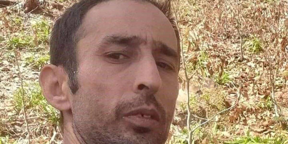 Giresun'da üzerine ağaç düşen 40 yaşındaki işçi hayatını kaybetti