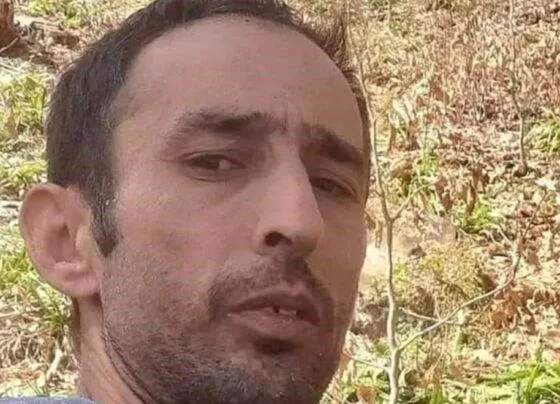 Giresun'da üzerine ağaç düşen 40 yaşındaki işçi hayatını kaybetti