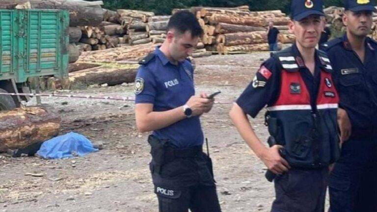 Karabük'te tomruk altında kalan 49 yaşındaki işçi yaşamını kaybetti 1