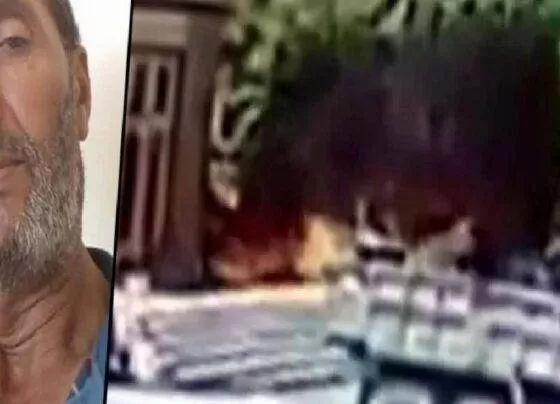 Sakarya'da orman işletme deposunda patlamada 2 işçi hayatını kaybetti