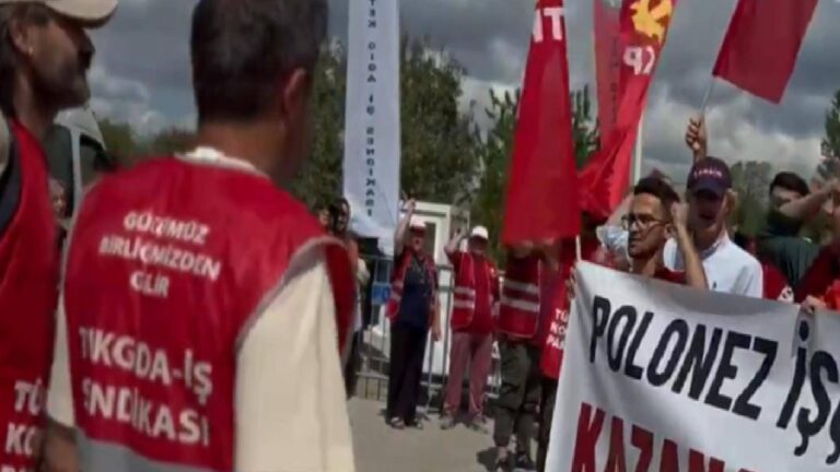 Bakanlıktan, 145 kişiyi işten çıkaran Polonez'e rekor ceza