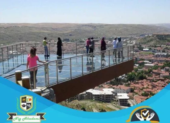 Çankırı İş Sağlığı ve Güvenliği Analizi