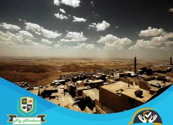 Mardin İş Sağlığı ve Güvenliği Analizi