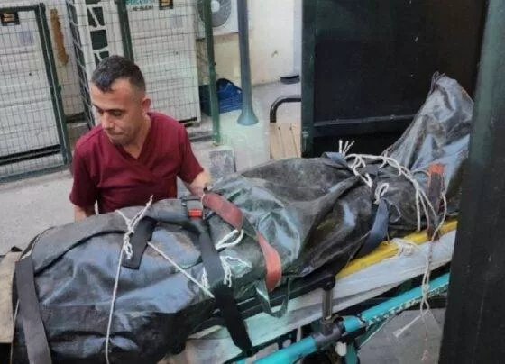 Zonguldak'ta ruhsatsız maden ocağındaki göçükte 54 yaşındaki işçi hayatını kaybetti