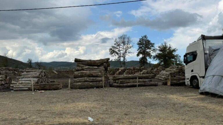 Bartın'da tomruk altında kalan 58 yaşındaki işçi hayatını kaybetti