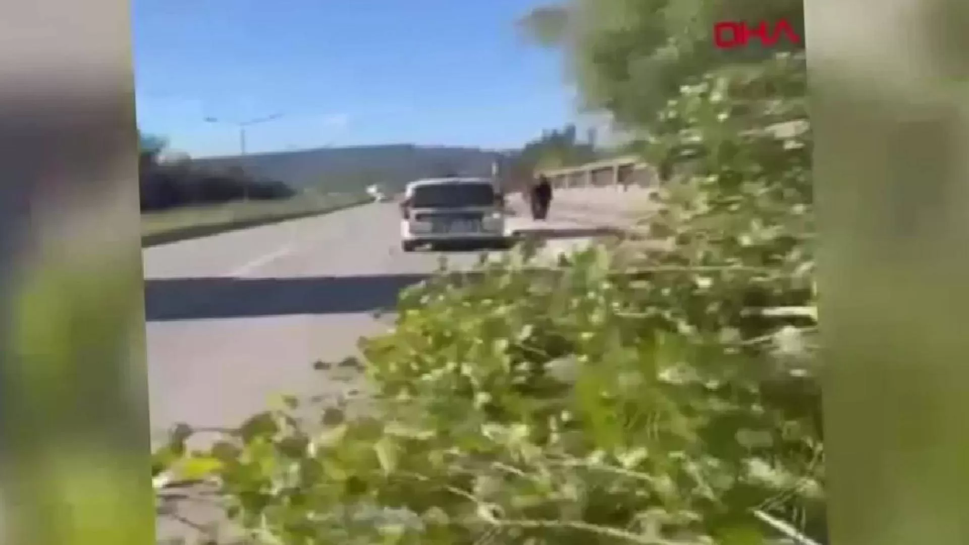 Bartın'da kestiği ağacın altında kalan 48 yaşındaki işçi yaşamını kaybetti!