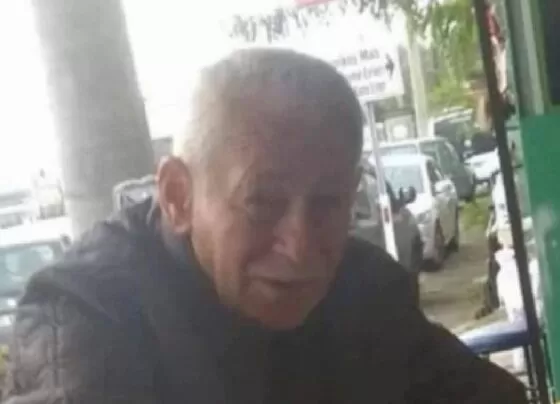 Aydın'da zeytin toplarken elektrik akımına kapılan 54 yaşındaki işçi yaşamını kaybetti!