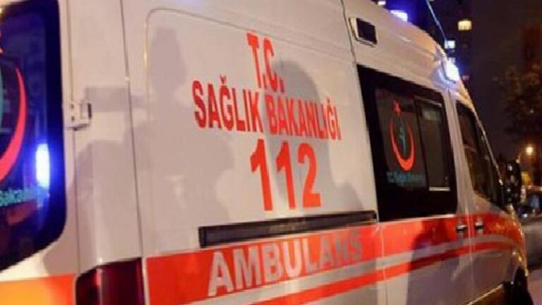 Isparta'da üzerine tomruk devrilen 70 yaşındaki işçi yaşamını kaybetti