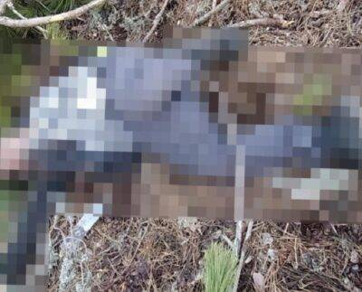 Kütahya'da kestiği ağacın altında kalan 59 yaşındaki orman işçisi hayatını kaybetti