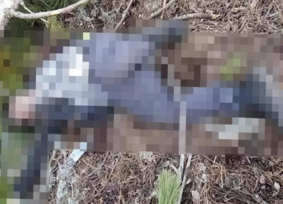 Kütahya'da kestiği ağacın altında kalan 59 yaşındaki orman işçisi hayatını kaybetti
