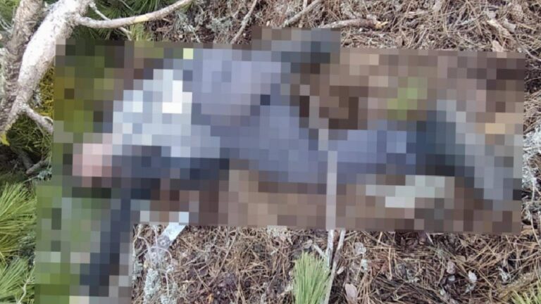 Kütahya'da kestiği ağacın altında kalan 59 yaşındaki orman işçisi hayatını kaybetti