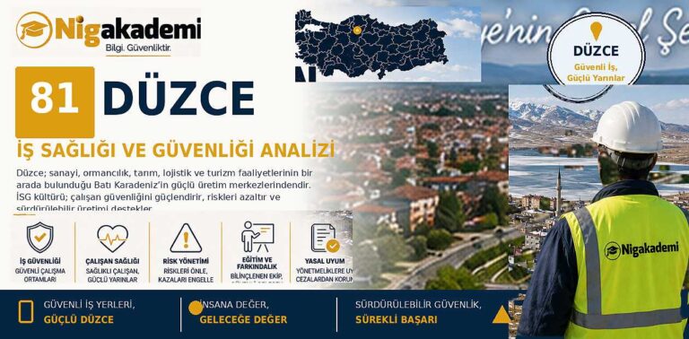 Düzce İş Sağlığı ve Güvenliği Analizi 9 Düzce İş Sağlığı ve Güvenliği Analizi
