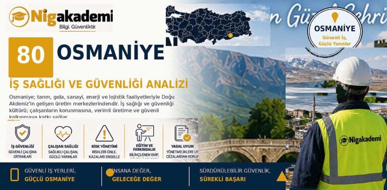 Osmaniye İş Sağlığı ve Güvenliği Analizi