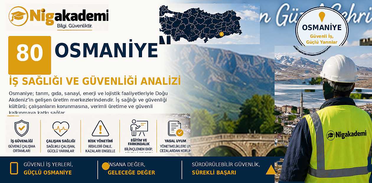 Osmaniye İş Sağlığı ve Güvenliği Analizi