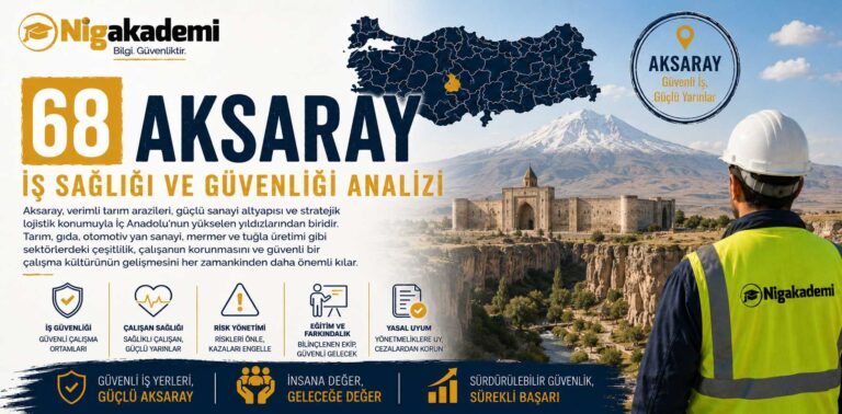 Aksaray İş Sağlığı ve Güvenliği Analizi
