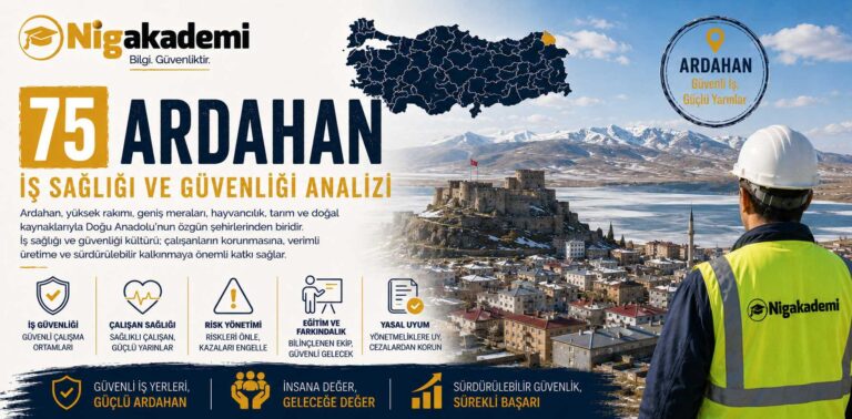 Ardahan İş Sağlığı ve Güvenliği Analizi
