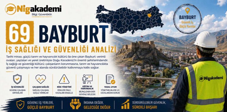 Bayburt İş Sağlığı ve Güvenliği Analizi