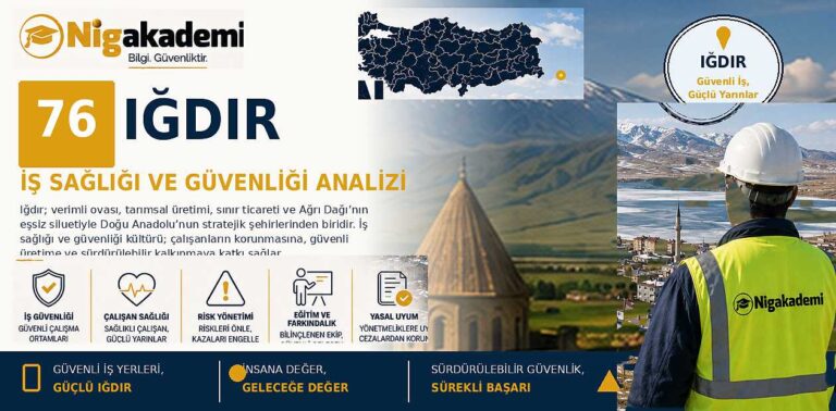 Iğdır İş Sağlığı ve Güvenliği Analizi