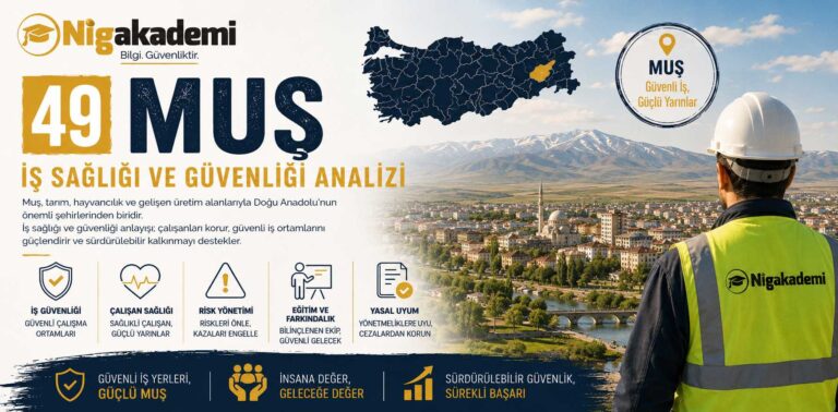Muş İş Sağlığı ve Güvenliği Analizi 18 Muş İş Sağlığı ve Güvenliği Analizi