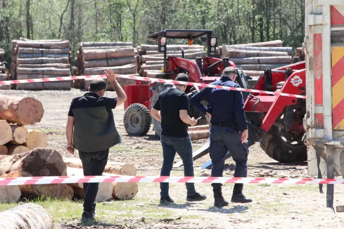 Sakarya'da üzerine tonlarca tomruk devrilen işçi hayatını kaybetti! 1