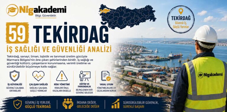 Tekirdağ İş Sağlığı ve Güvenliği Analizi