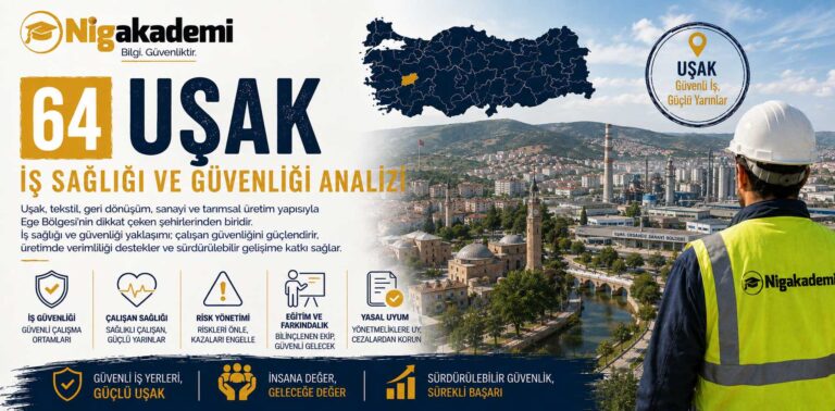Uşak İş Sağlığı ve Güvenliği Analizi