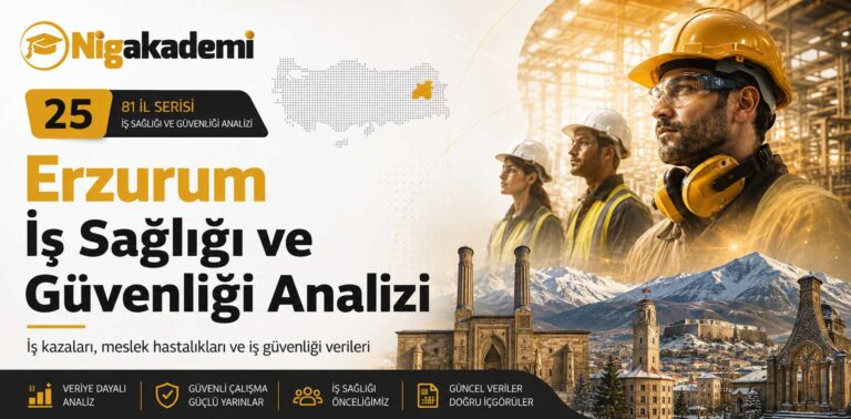 Erzurum İş Sağlığı ve Güvenliği Analizi 8 Erzurum İş Sağlığı ve Güvenliği Analizi