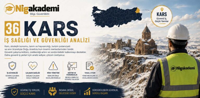 Kars İş Sağlığı ve Güvenliği Analizi 16 Kars İş Sağlığı ve Güvenliği Analizi