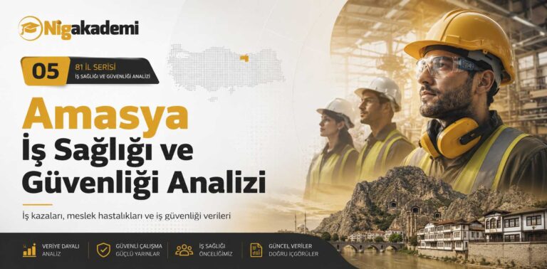 Amasya İş Sağlığı ve Güvenliği Analizi 14 Amasya İş Sağlığı ve Güvenliği Analizi