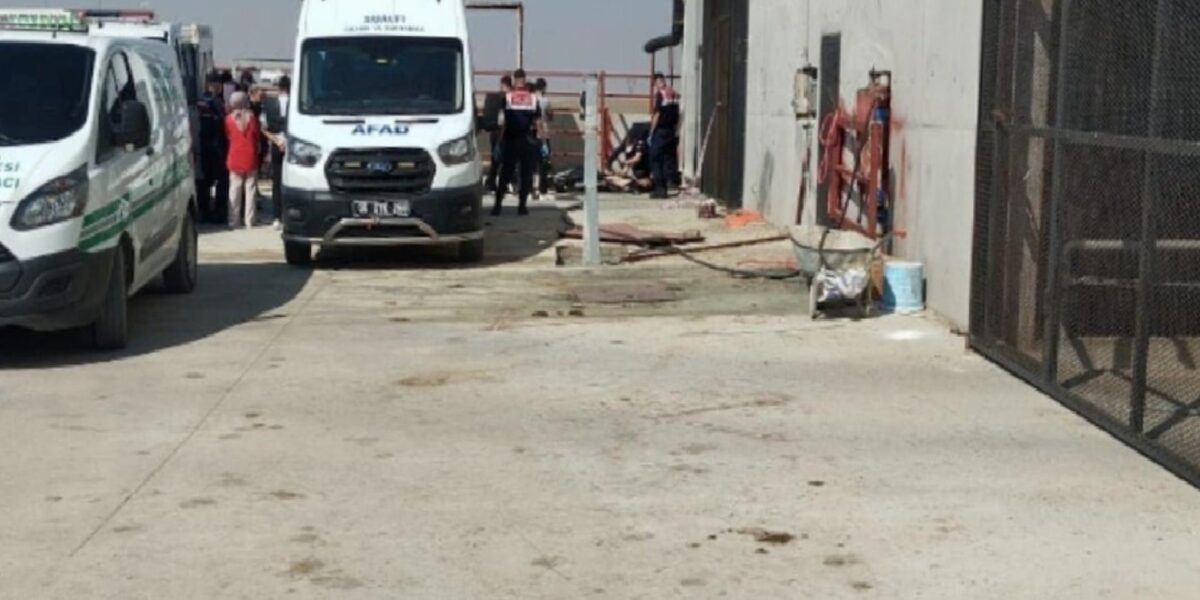 Ankara'da besi çiftliğinde metan gazından zehirlenen 2 işçi yaşamını kaybetti 5