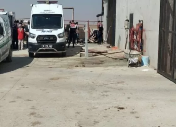 Ankara'da besi çiftliğinde metan gazından zehirlenen 2 işçi yaşamını kaybetti 2