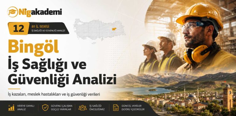 Bingöl İş Sağlığı ve Güvenliği Analizi 4 Bingöl İş Sağlığı ve Güvenliği Analizi