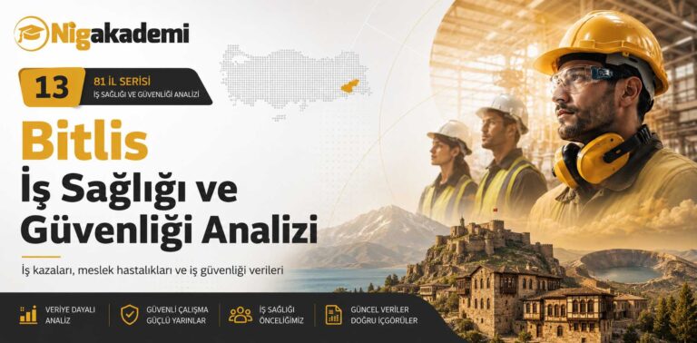 Bitlis İş Sağlığı ve Güvenliği Analizi 6 Bitlis İş Sağlığı ve Güvenliği Analizi