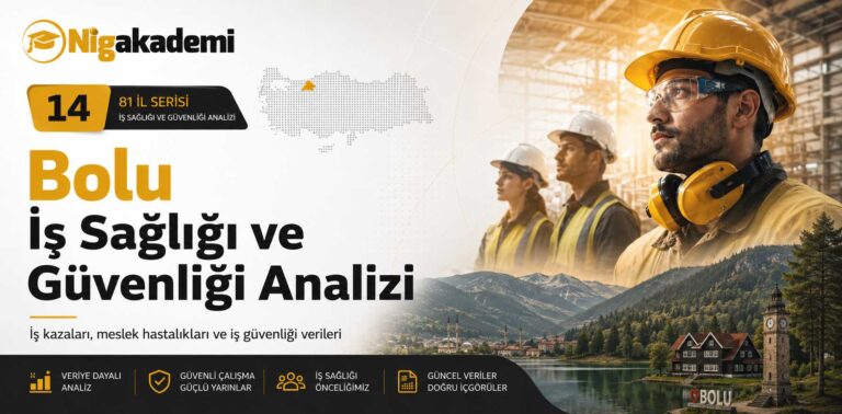 Bolu İş Sağlığı ve Güvenliği Analizi 7 Bolu İş Sağlığı ve Güvenliği Analizi