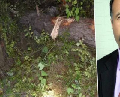 Bolu'da 69 yaşındaki işçi kestiği ağacın altında kalarak can verdi