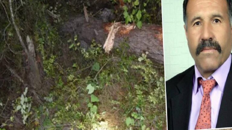 Bolu'da 69 yaşındaki işçi kestiği ağacın altında kalarak can verdi 3 Bolu'da 69 yaşındaki işçi kestiği ağacın altında kalarak can verdi