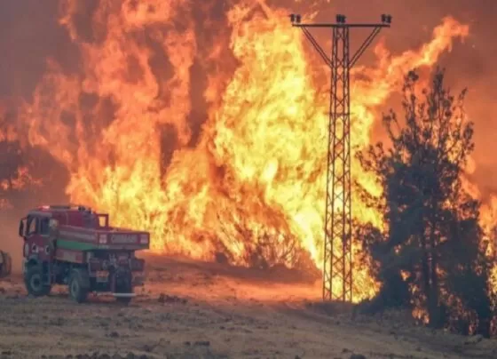 Eskişehir'de yangına müdahale eden 10 işçi hayatını kaybetti