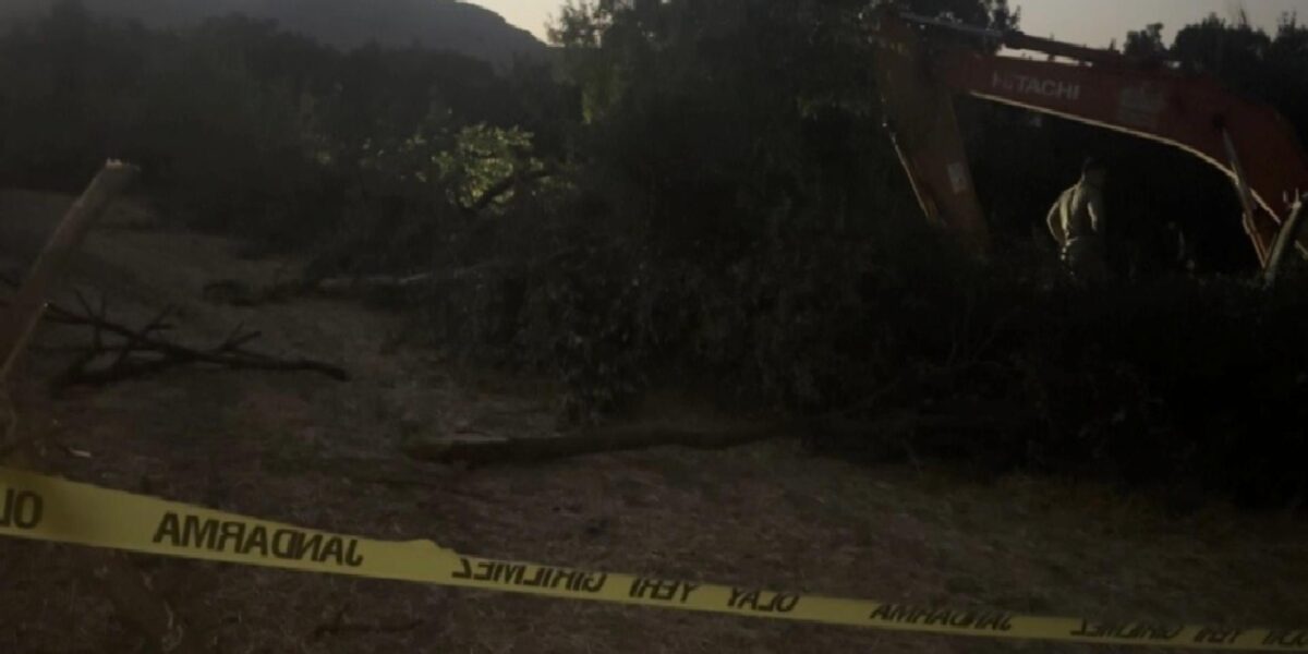 Erzincan'da kanal çalışmasında devrilen ağacın altında kalan işçi yaşamını kaybetti 3