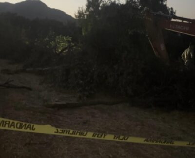 Erzincan'da kanal çalışmasında devrilen ağacın altında kalan işçi yaşamını kaybetti 3