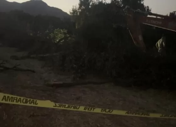 Erzincan'da kanal çalışmasında devrilen ağacın altında kalan işçi yaşamını kaybetti 3