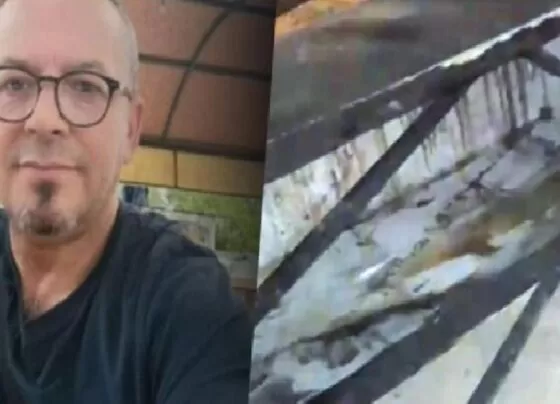 Kayıp mühendisin katili fabrika müdürü çıktı! Cesedin üstünü dondurma ile kaplamış