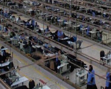Colins Türkiye'yi bıraktı Mısır'a gitti! İşçiler işsiz kaldı